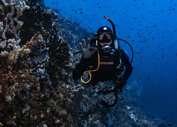 Badladz Beach&Dive Resort